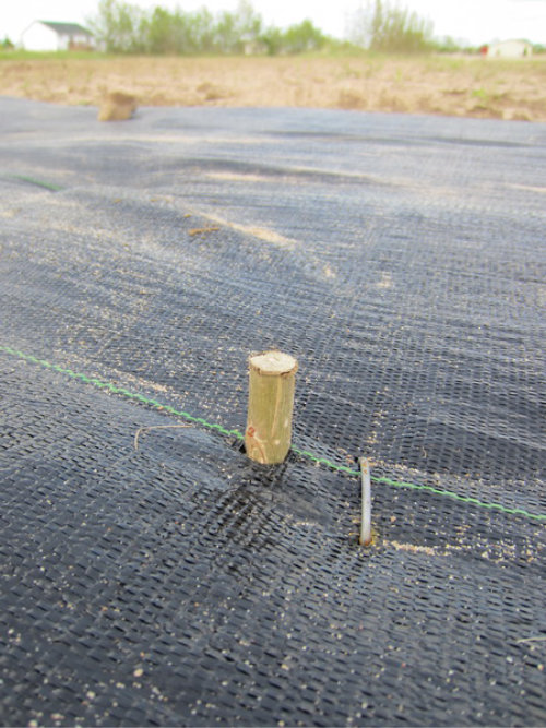 eBay Jobs Cut: How Depop & Gen Z Reshape E-commerce Giant